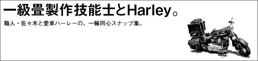 前田畳製作所　スタッフブログ　一級畳技能士とHarley。